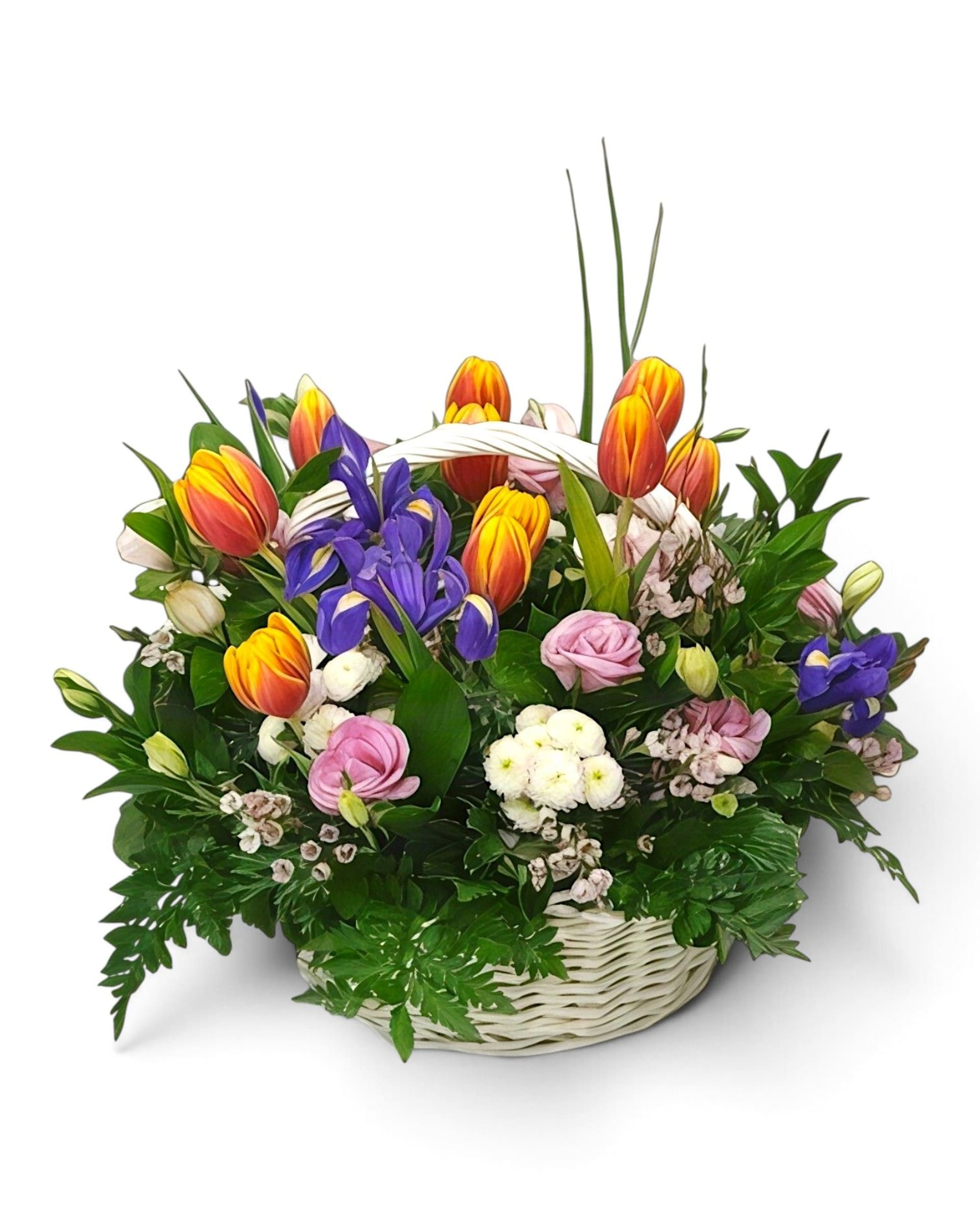 Spring Celebration Tulip & Iris Mixed Flower Basket