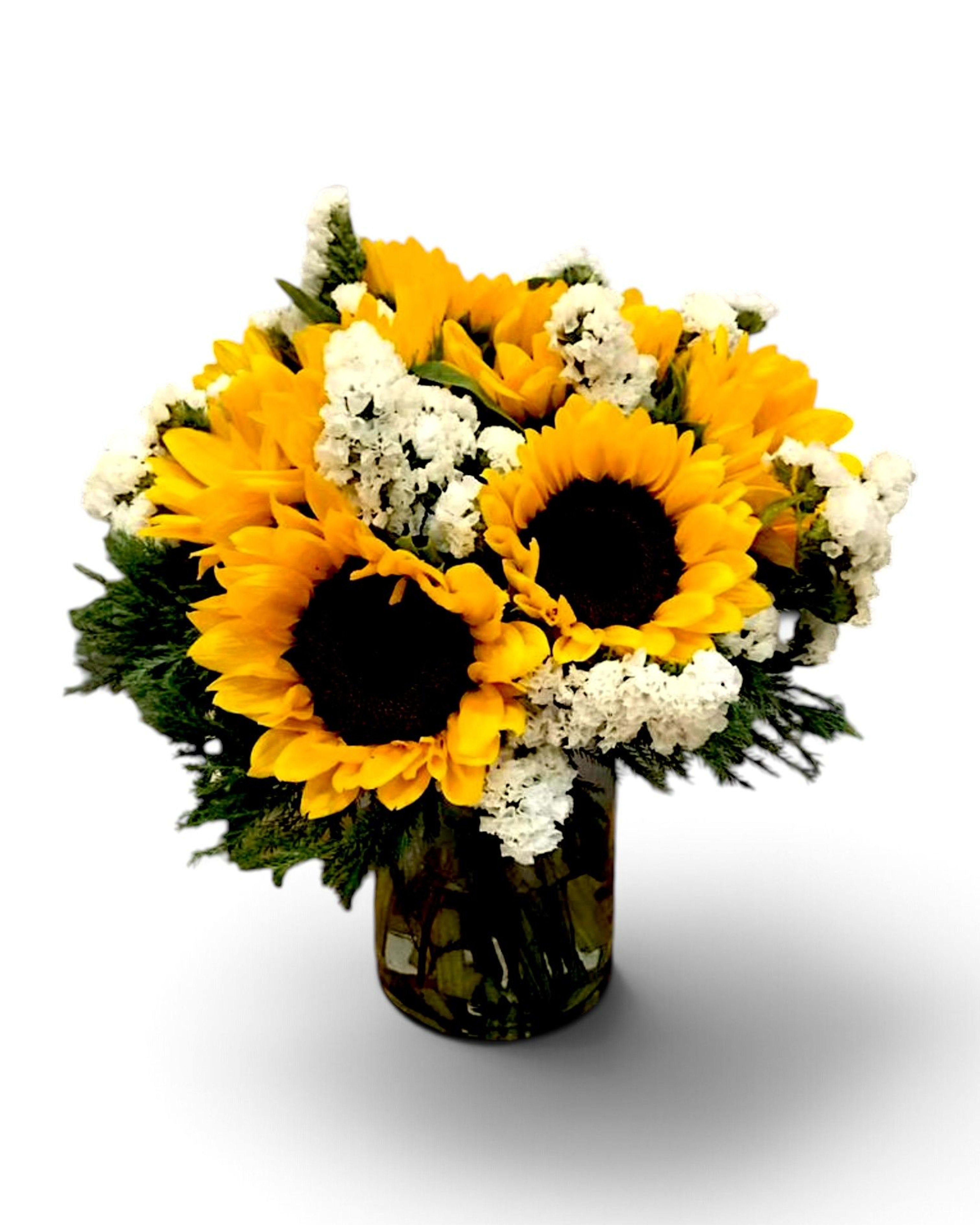 Sunny & Sweet Sunflower and White Stock Vase