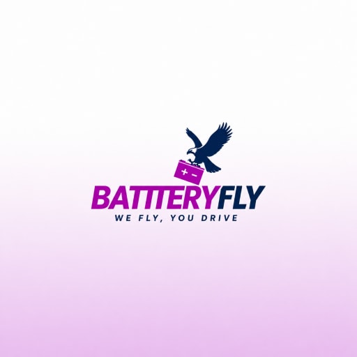 Battery Fly