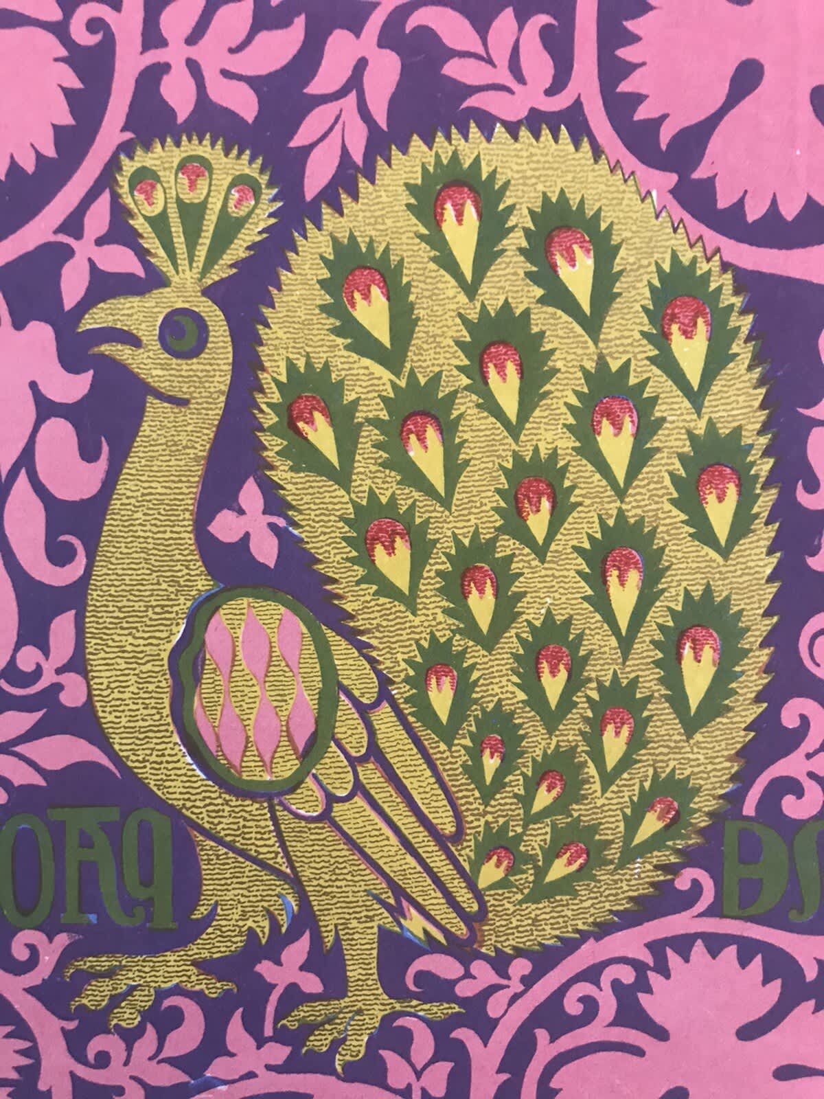 Ancienne gravure lithographie couleurs étoffe chasuble Dominique Toulouse XIXe - Image 1