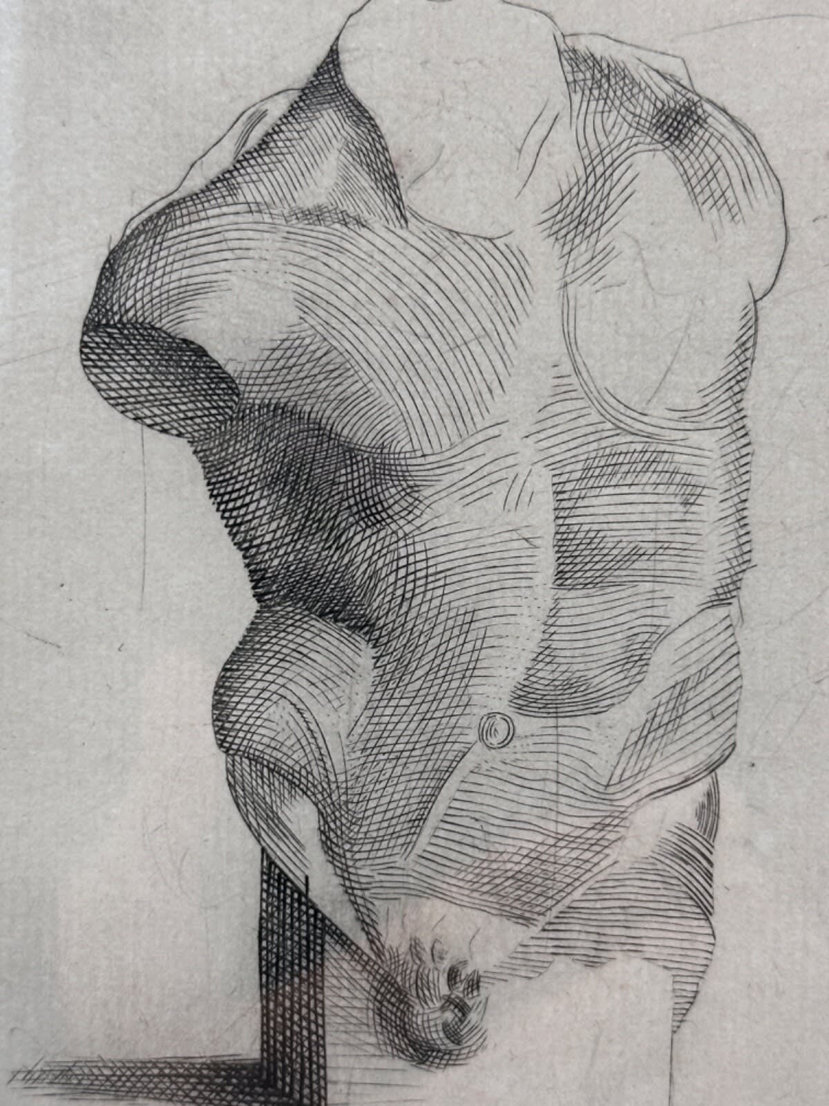 Ancienne gravure anatomique académie torse nu signé Dasque Art nouveau - Image 1