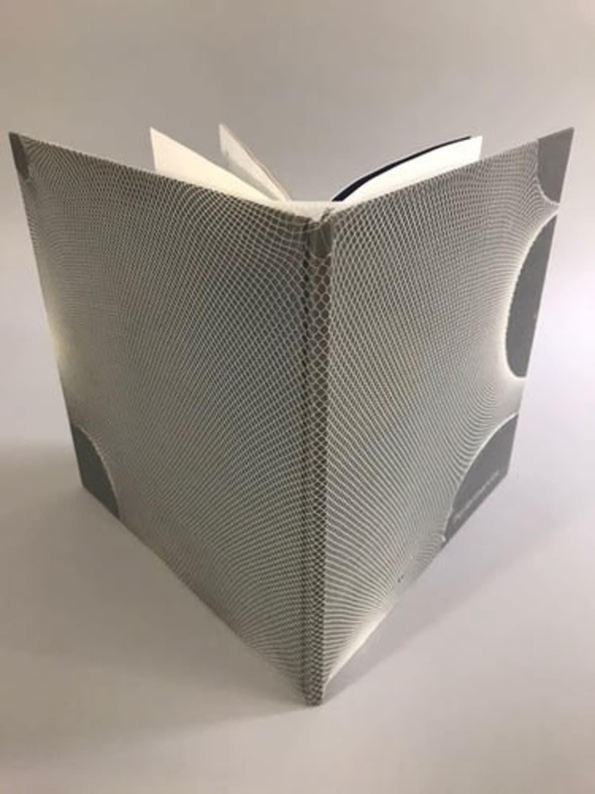 Livre d'art performance Berkhemer érotique AgnesB galerie contemporain La Fab.3 - Image 1