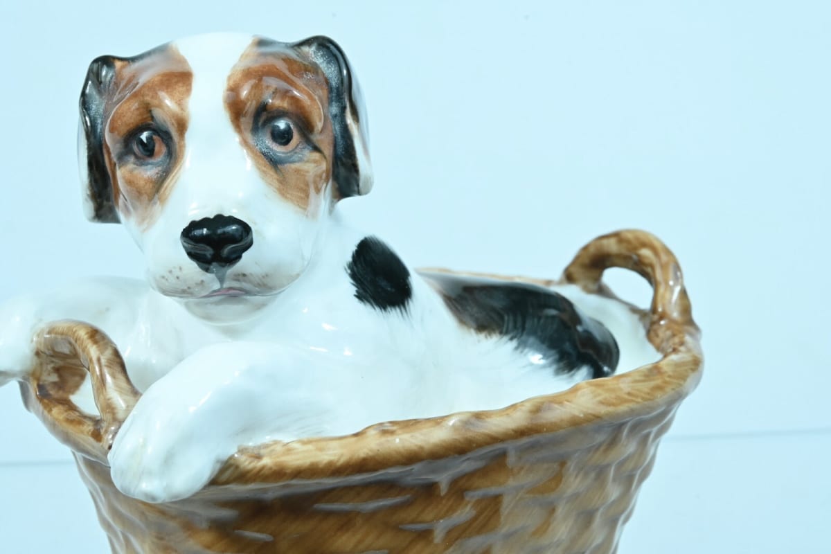 Ancienne figurine vintage Royal Doulton, chiot terrier dans un panier porcelaine - Image 1