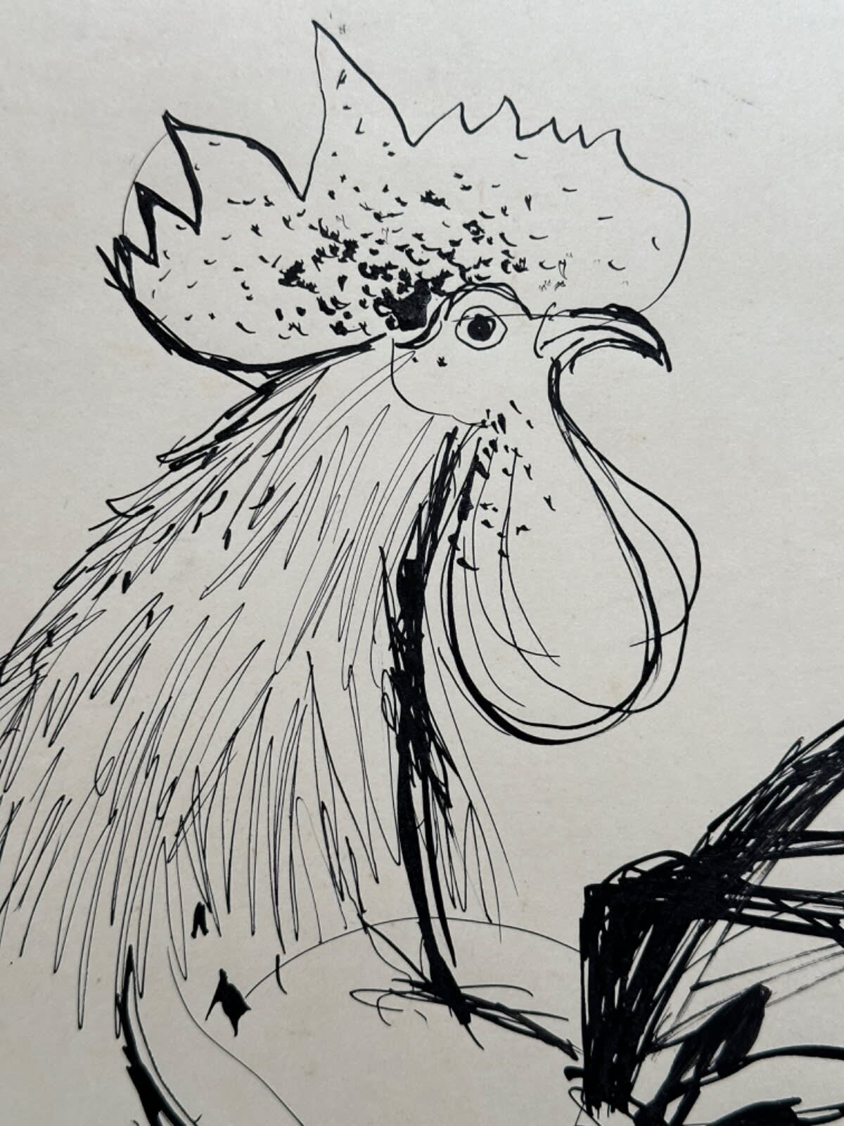 Ancien dessin animalier encre grand coq 1950 signé Daniel Du Janerand - Image 1
