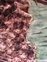 Grand plat Achille Barbizet école de Paris cabaret Le Lyon d'Or Belle époque 55c - Miniature 11