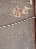 Beau tableau ancien paysage vue d'Annecy animé vieux pont Paul Barian 1900 - Miniature 11