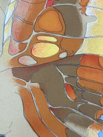 Lithographie nue Ève serpent Chrysalide arbre pomme érotisme 1970 Alloueteau - Miniature 3