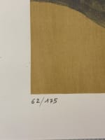 Lithographie nue Ève serpent Chrysalide arbre pomme érotisme 1970 Alloueteau - Miniature 8