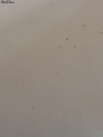 Ancien dessin marine Morbihan Bretagne bateau longeant la côte signé Landelle - Miniature 10