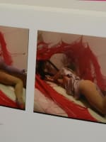 Album photo Berkhemer AgnesB galerie d'art contemporain La Fab. Maserati nue - Miniature 5