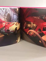 Album photo Berkhemer AgnesB galerie d'art contemporain La Fab. Maserati nue - Miniature 10