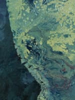 Grand tableau nature morte bouquet de fleurs Ipomée Volubilis signé 138 cm déco - Miniature 10