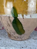 Ancien pot à confit terre cuite émaillé jaune vert faïence Sud Ouest XIXe - Miniature 7