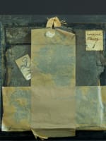 Ancien tableau portrait miniature Cardinal Fleury Hyacinthe Rigaud Perpignan - Miniature 5