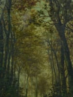 Tableau ancien Edouard Reynart Lille canard sauvage paysage cours d'eau XIXe - Miniature 6