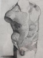 Ancienne gravure anatomique académie torse nu signé Dasque Art nouveau - Miniature 1