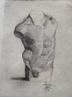 Ancienne gravure anatomique académie torse nu signé Dasque Art nouveau - Miniature 4