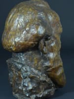 Ancien buste en bronze portrait du peintre breton Désiré Lucas Henri Bouchard - Miniature 8