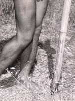 Ancienne photo portrait homme nu René Domine Mr Côte d'Azur 1965 Jean Ferrero - Miniature 3