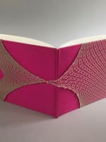 Album photo Berkhemer AgnesB galerie d'art contemporain La Fab. Maserati nue 2 - Miniature 1