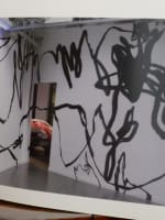 Album photo Berkhemer AgnesB galerie d'art contemporain La Fab. Maserati nue 2 - Miniature 5