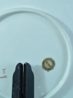 Ancien grand plat château des ducs Dl'Alençon Mairie hôtel de ville Gustave Asch - Miniature 4