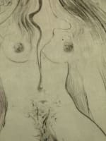 Salvador Dali gravure érotique La Vénus aux fourrures Sacher Masoch surréalisme - Miniature 6