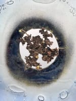 Disque pâte de verre bronze contemporain artiste sculpteur Charles André Acquier - Miniature 6