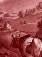 Grand plat ancien porcelaine vache montagne, château ruine Mulhauser Suisse XIXe - Miniature 4