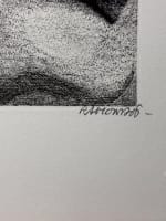 Gravure originale de Jacques Ramondot paysage synthétique Mollières art - Miniature 4