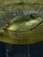 Important encrier vide poche libellule Art Nouveau bronze doré Léon Lambert - Miniature 9