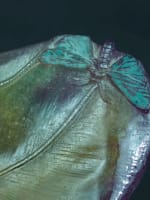 Ancien vide poche coupe Saint Art Nouveau Daum pâte de verre lézard papillon signé - Miniature 9