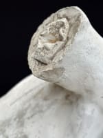 Grand discobole atelier sculpture plâtre décor antique 155cm XIXe Olympe Jeux - Miniature 21