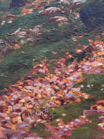 Grand tableau ancien paysage forêt Barbizon Fontainebleau impressionniste Dufau - Miniature 8