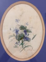 Ancien tableau aquarelle botanique XIXe encadrée signée J Planès violettes 1865 - Miniature 1