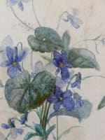 Ancien tableau aquarelle botanique XIXe encadrée signée J Planès violettes 1865 - Miniature 6