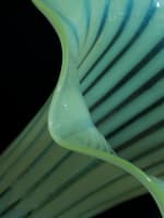 Ancienne tulipe art nouveau lampe Wes Benson verre Ouraline vaseline glass 23 cm - Miniature 11