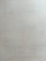 Ancienne lithographie Aizpiri bouquet coquelicot nature morte jardinière oiseau - Miniature 6