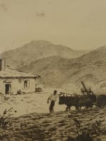 Belle gravure Pays Basque Raoul Serres paysan attelage bœufs Arrue Floutier - Miniature 2