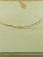 Tableau ancien nature morte bouquet de mimosas vase boule Clémentine Dorbritz 30 - Miniature 8