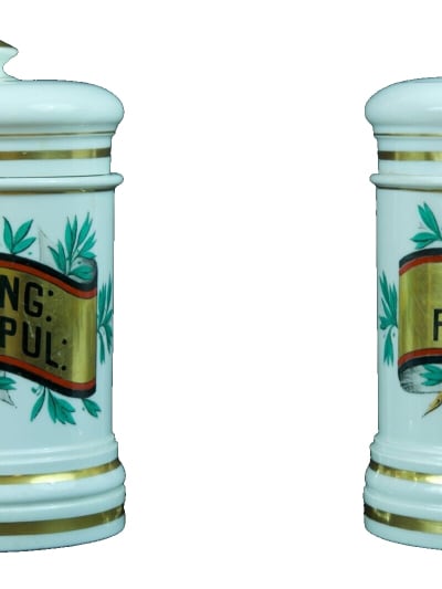 Ancienne paire de pots à pharmacie XIXe porcelaine porcelaine de Paris Lefebure