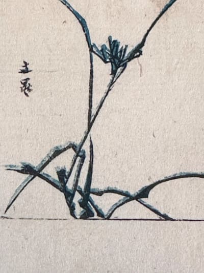 Gravure estampe Japon Edo grue vague libellule japonisme Bun'ichi Tani Buncho