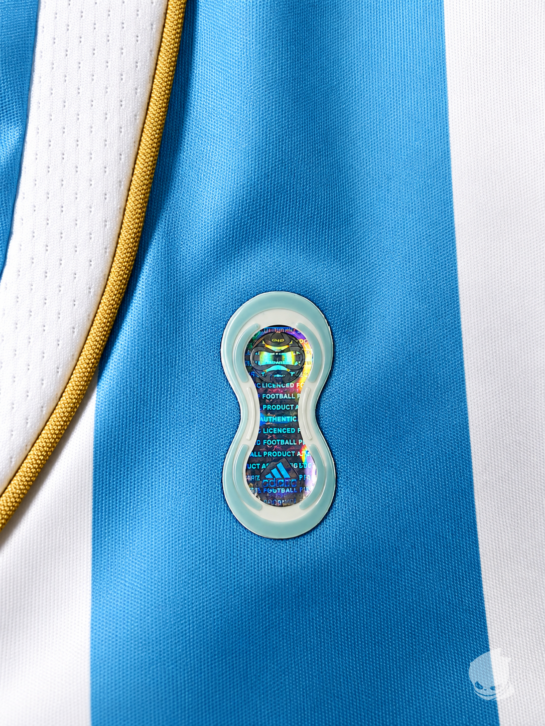 Argentina Home 2006 Retro Kit