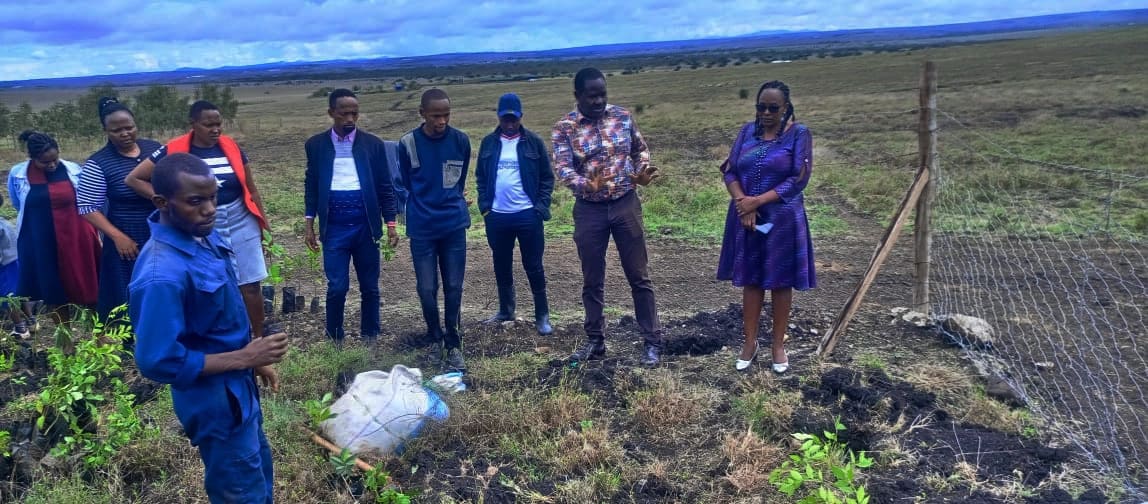 Community tree planting initiative