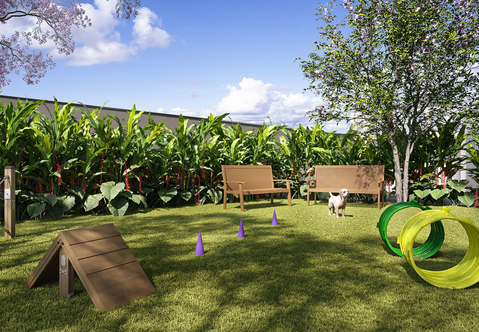 Nova Califórnia – Apê com 2 Dorms. com Terraço | Jardim Califórnia, Barueri – foto 14 de 25