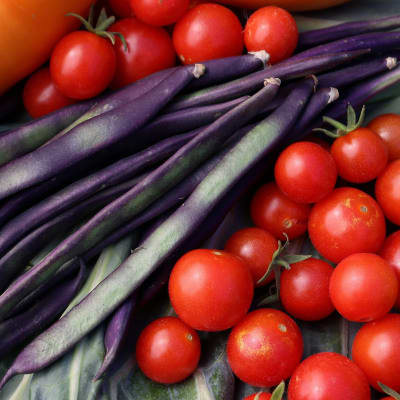 Bean 'Purple Podded Pole'