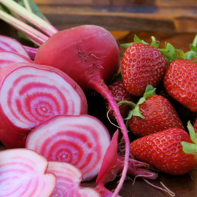 Beet 'Chioggia'