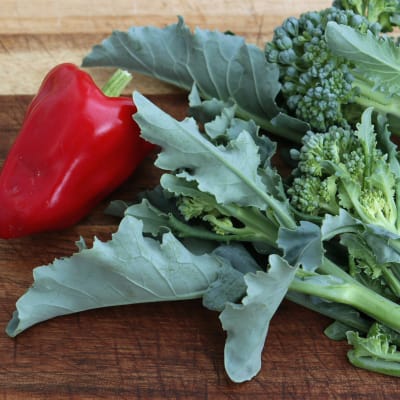 Broccoli 'Green Sprouting Calabrese'