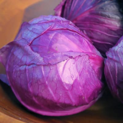 Cabbage 'Red Acre'