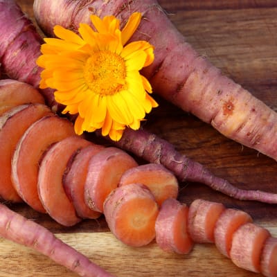 Carrot 'Pulsar Pink'